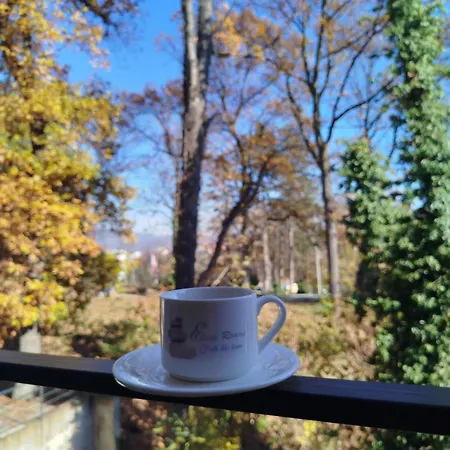 Delux Eleni * Vrnjačka Banja