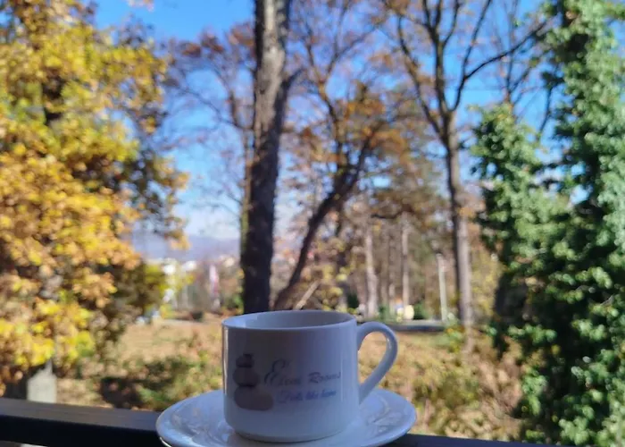 Delux Eleni * Vrnjačka Banja